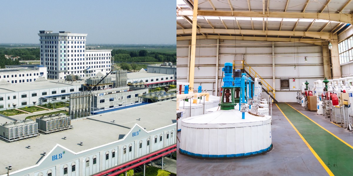 82% Mạch nha 82% Mạch nha