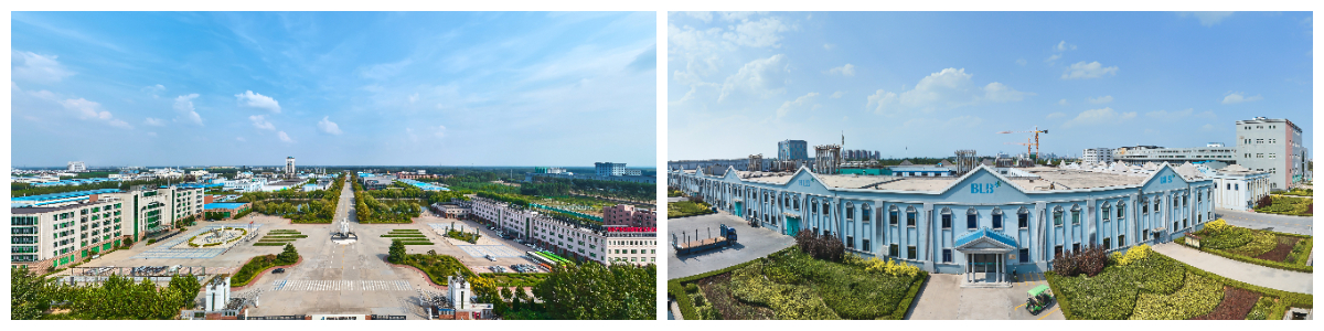 Galacto-oligosacáridos Galacto-oligosacáridos