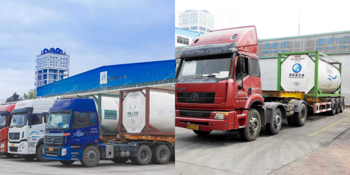 المالتوز المالتوز