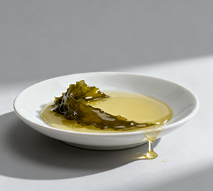 Масло водорослей DHA 10 кг