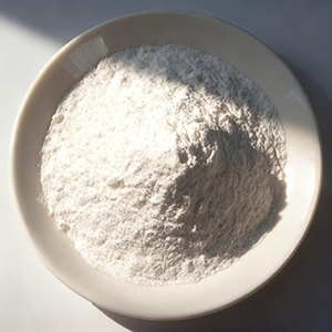 저항성 덱스트린 5kg