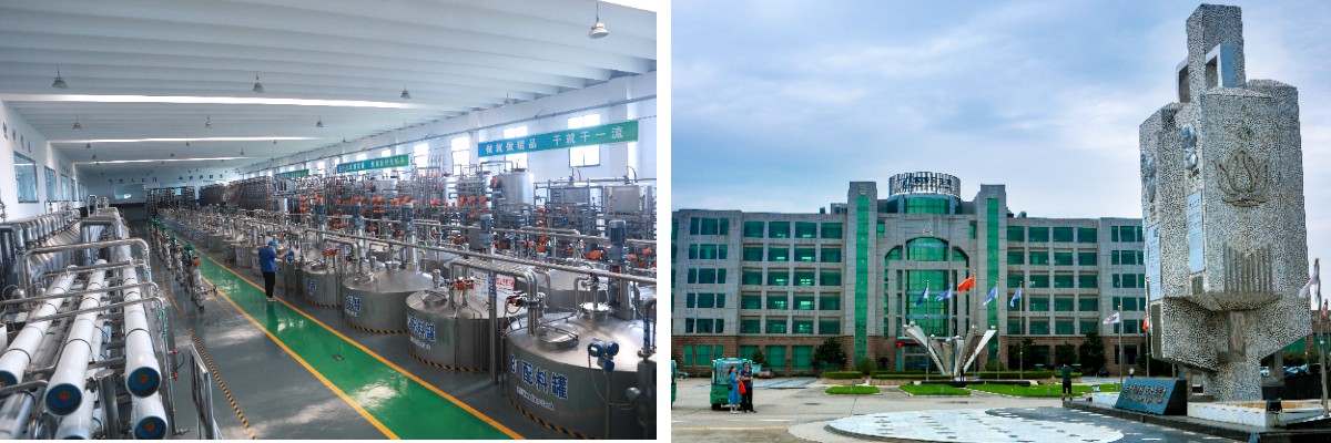 Pó de polidextrose Pó de polidextrose