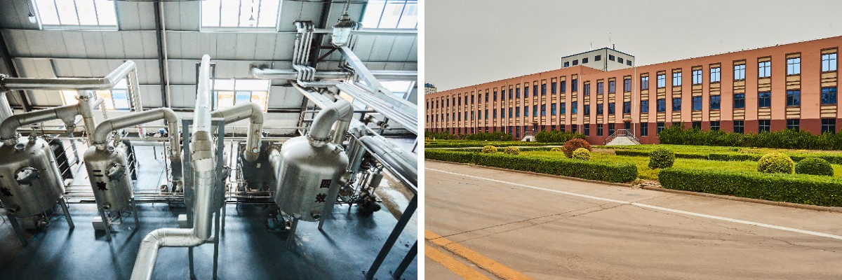 Aceite crudo de algas DHA Aceite crudo de algas DHA