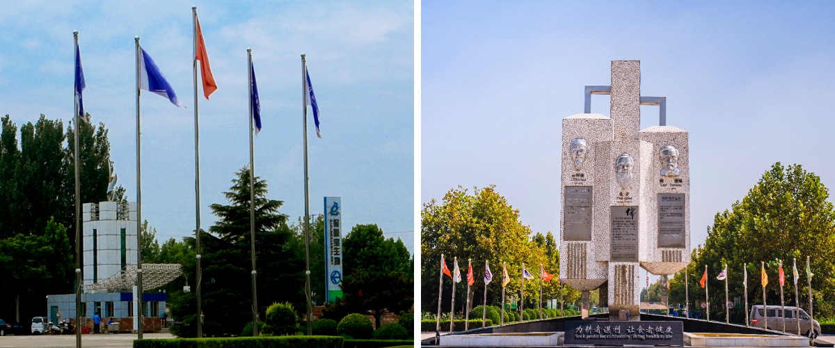 Líquido de alulosa tipo 50.jpg Líquido de alulosa tipo 50.jpg