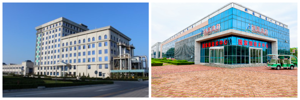 Polidextrosa Polidextrosa