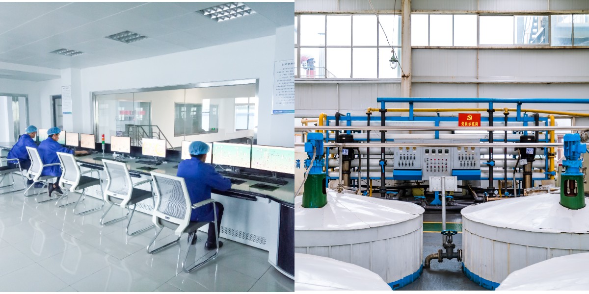 المالتوز المالتوز