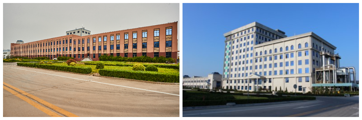 Polidextrosa Polidextrosa