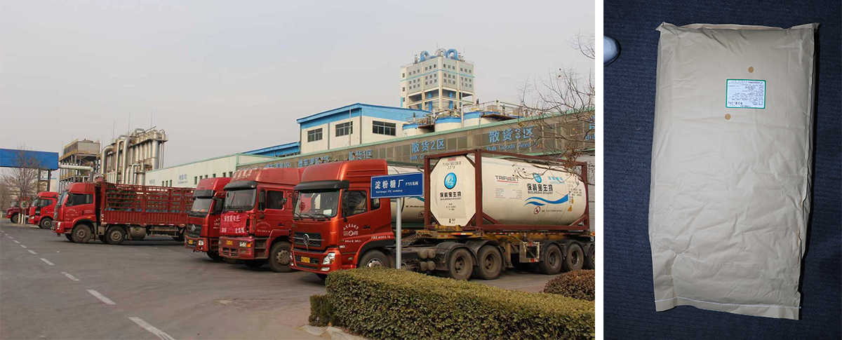 Pó de polidextrose Pó de polidextrose