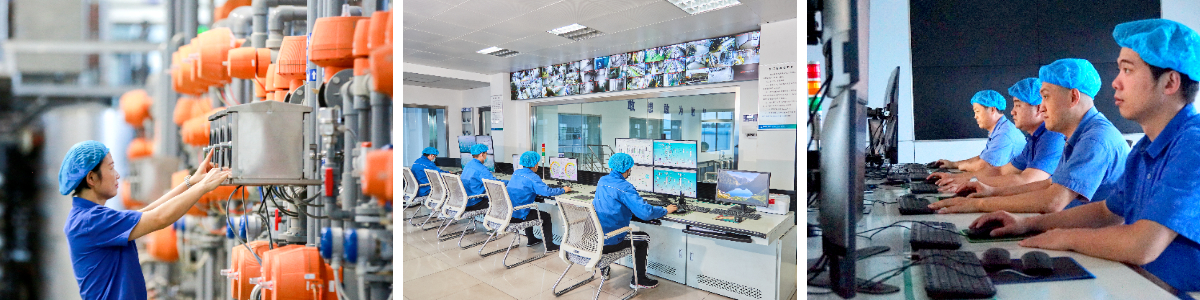 Polvo de alulosa Polvo de alulosa