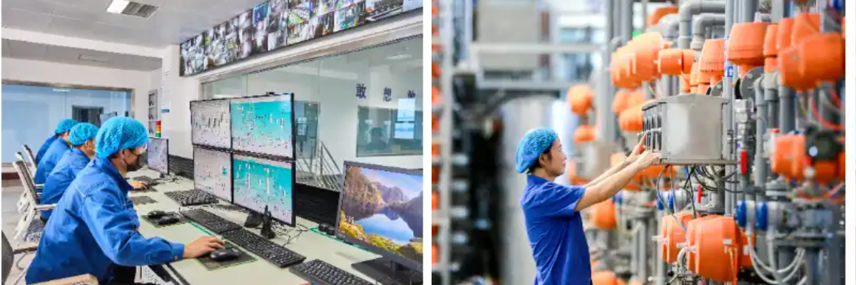 프리미엄 복합 감미료.jpg 프리미엄 복합 감미료.jpg