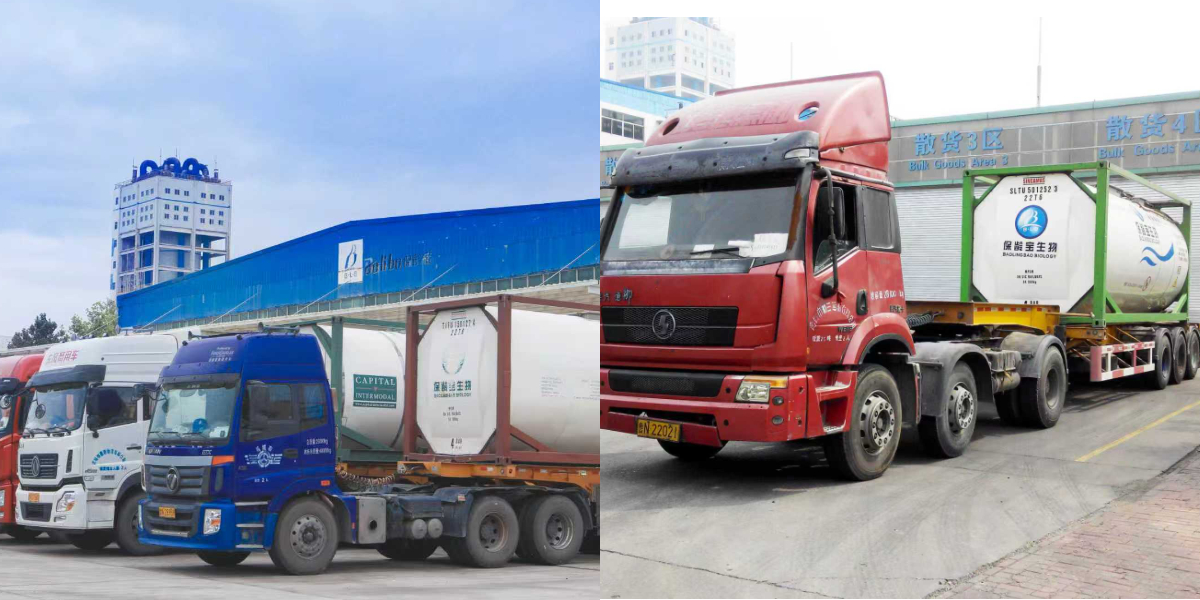 82% Mạch nha 82% Mạch nha