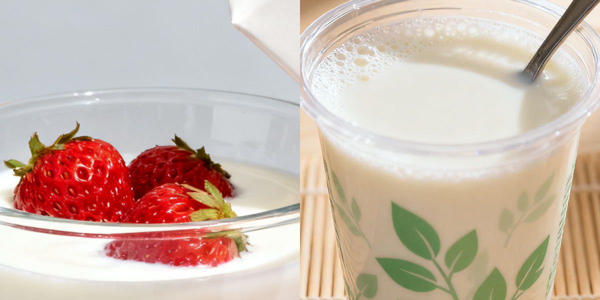 फ्रुक्टो ओलिगोसेकेराइड लिक्विड 55