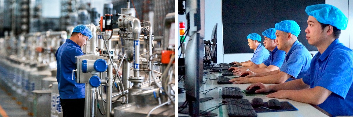 Erythrit-Pulver Erythrit-Pulver