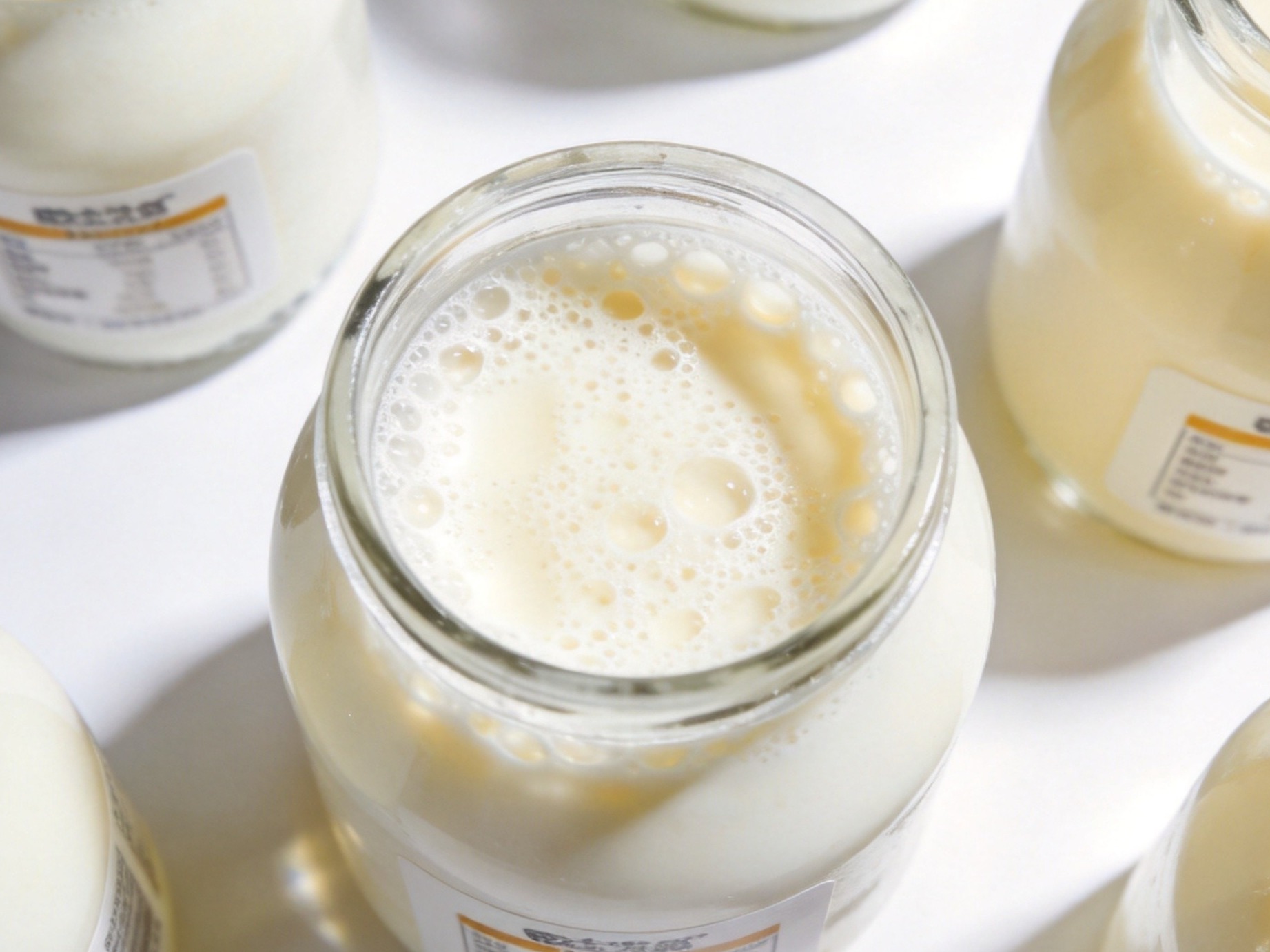 Aplicación de Frulyte™ Fructooligosacáridos en Productos Lácteos