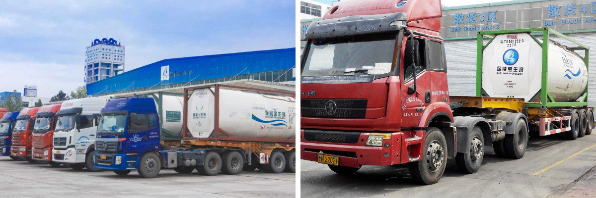 Aceite crudo de algas DHA Aceite crudo de algas DHA