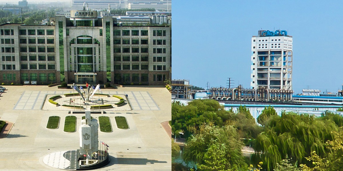 फ्रुक्टो ओलिगोसेकेराइड लिक्विड 55