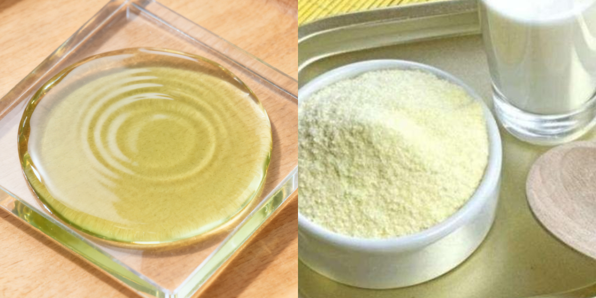 Aplicación del aceite de algas DHA en productos lácteos Aplicación del aceite de algas DHA en productos lácteos