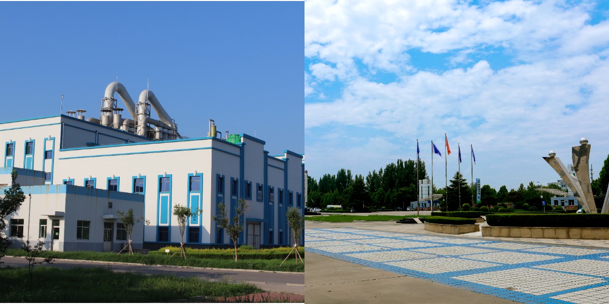 المالتوز المالتوز