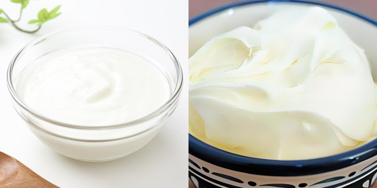 Aplicación del aceite de algas DHA en productos lácteos Aplicación del aceite de algas DHA en productos lácteos