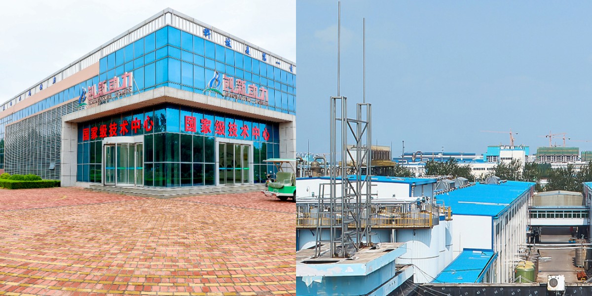 Resistant Dextrin Organic Resistant Dextrin Organic