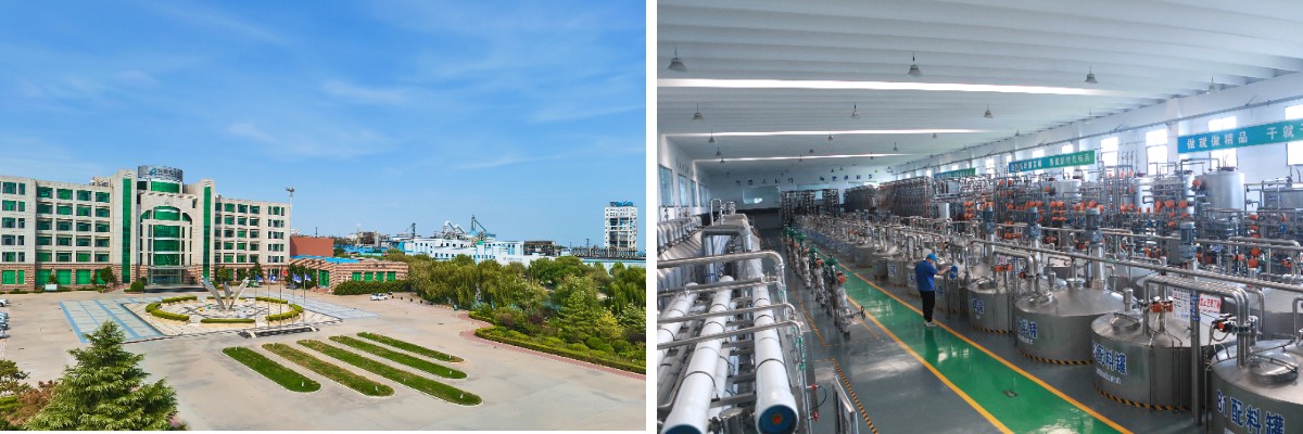 Fructooligosaccharides Fructooligosaccharides