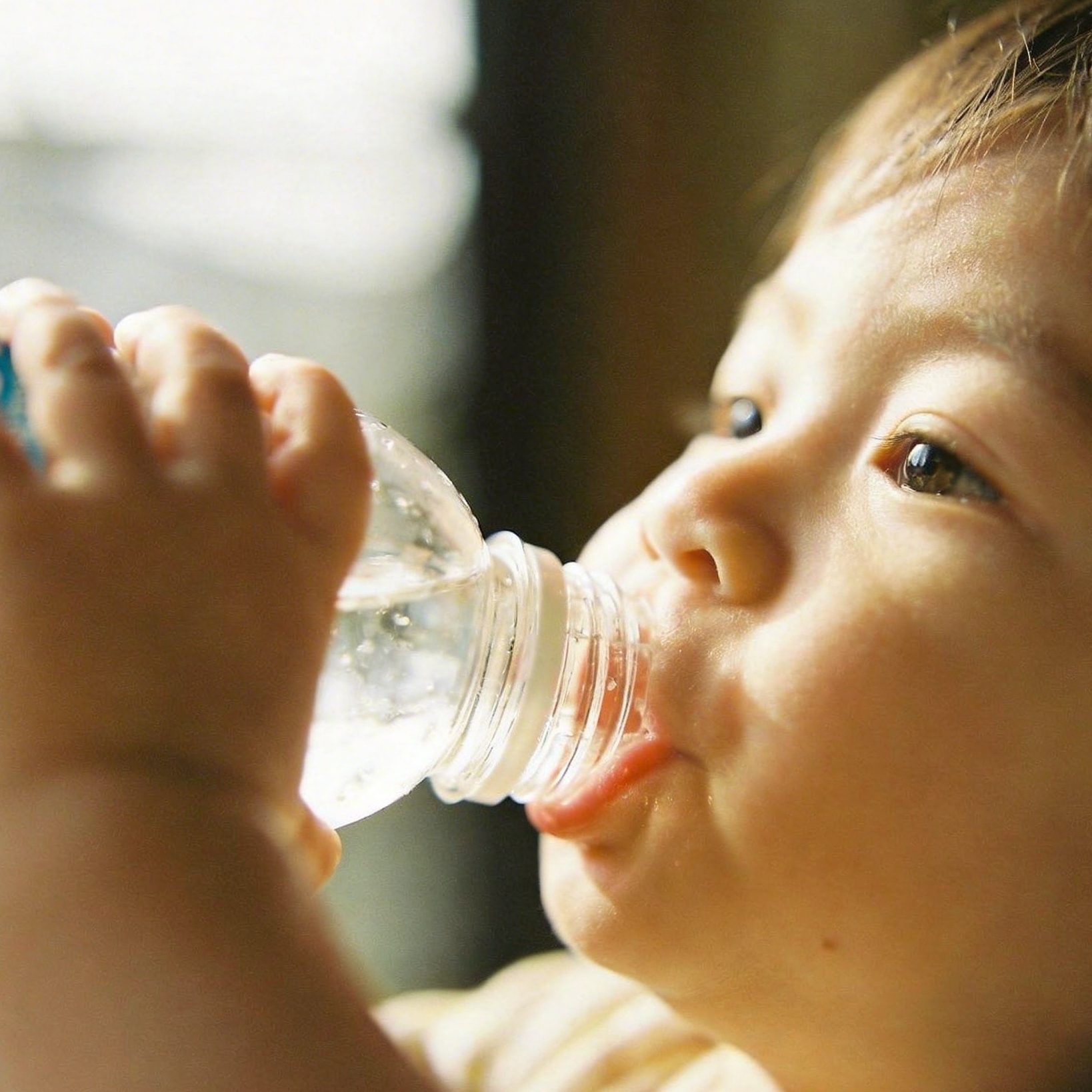 Resistant Dextrin Applications in Nutritional Beverages
