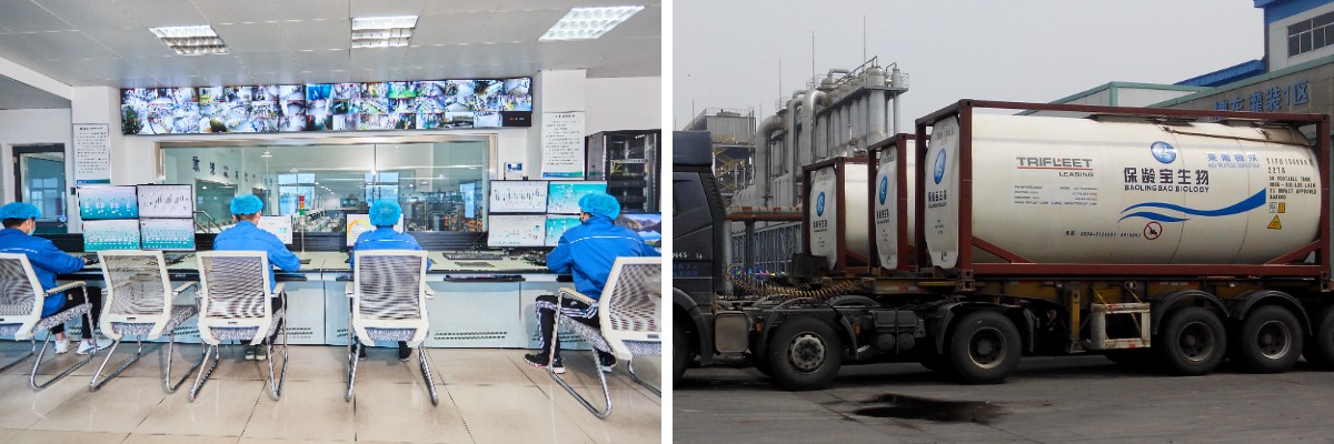 مسحوق مالتوديكسترين مسحوق مالتوديكسترين